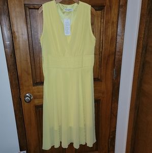 NWT Yellow Dress, Lined, Length: Midi, flowing skirt, off label brand, Fit: LG